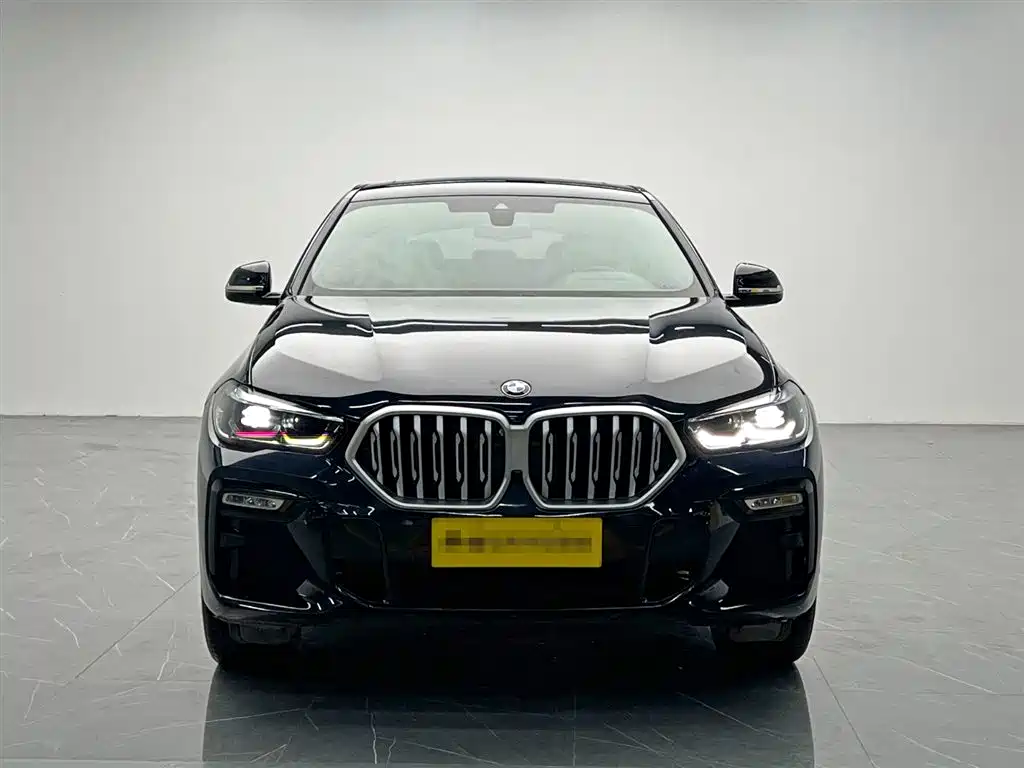 BMW X6 2021 xDrive30i M Sport