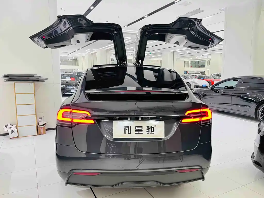 Tesla Model X — миниатюра 27