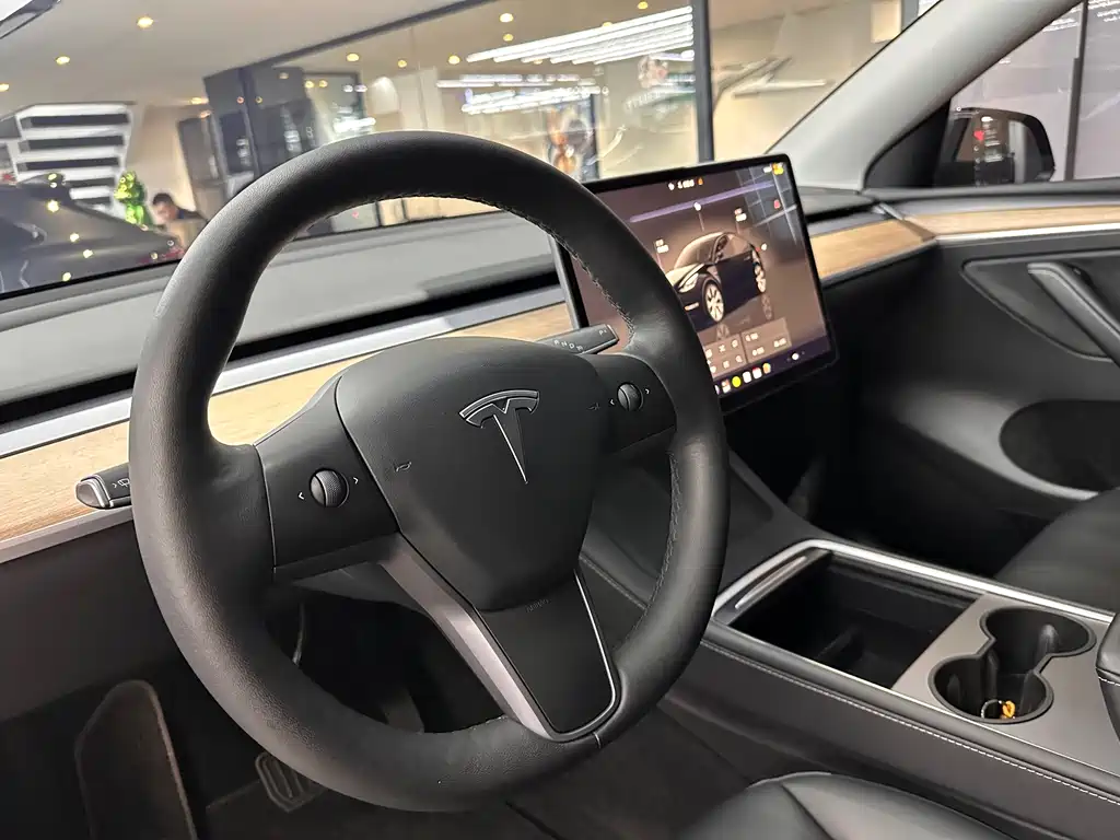 Tesla Model Y — миниатюра 8