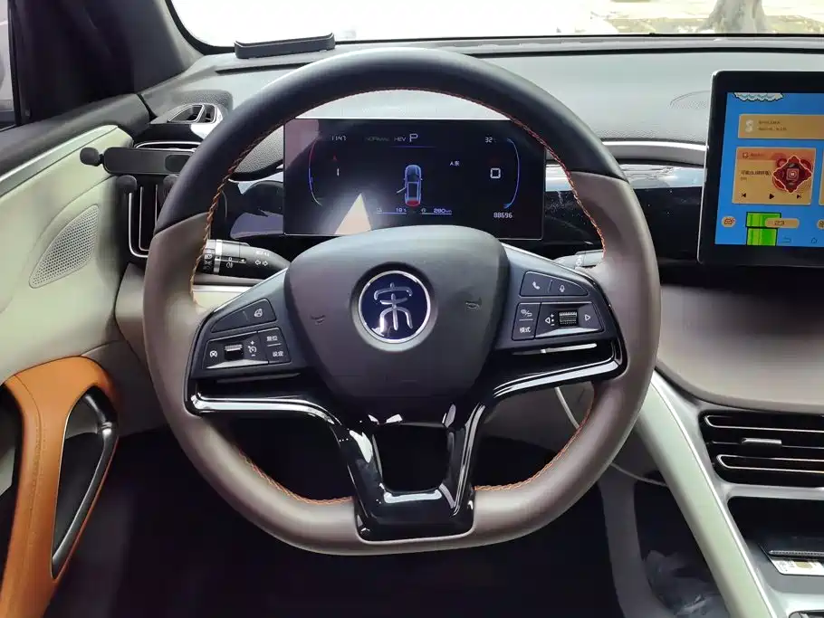 BYD Pro New Energy — миниатюра 15