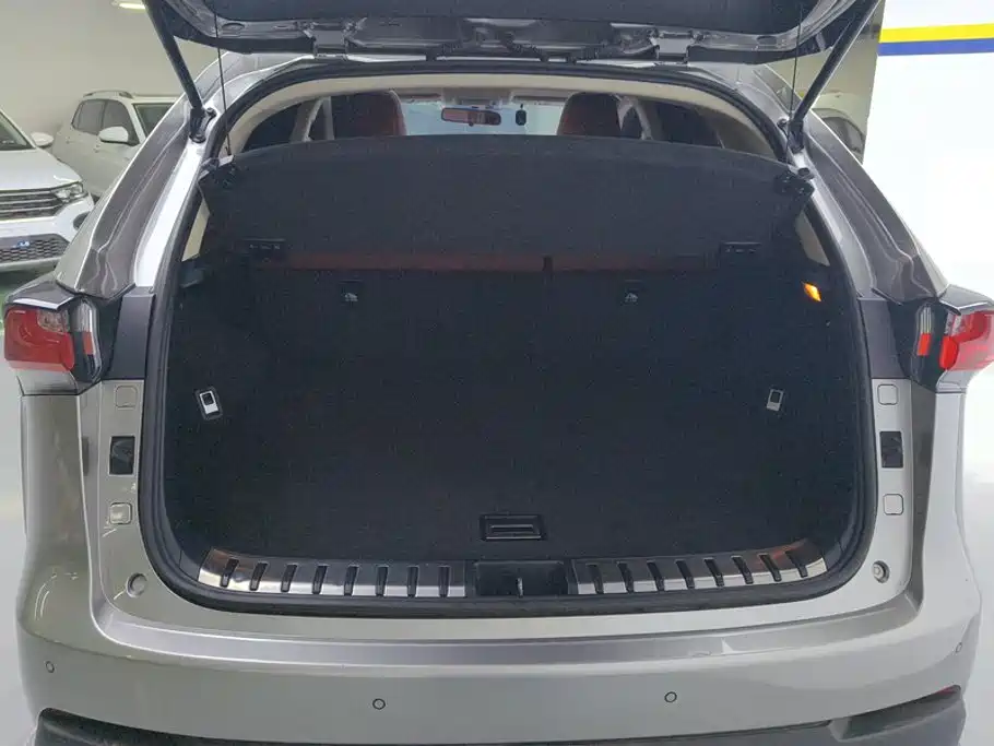 Lexus NX — миниатюра 4