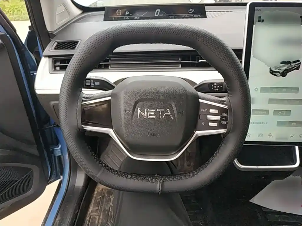 Neta Neta V — миниатюра 11