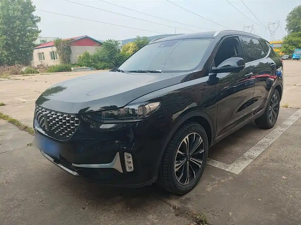 Купить Wey Wey VV6
