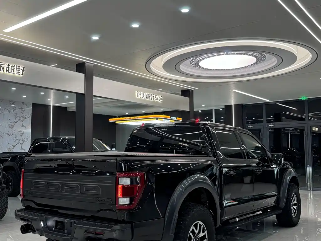 Ford F-150 Raptor — миниатюра 9