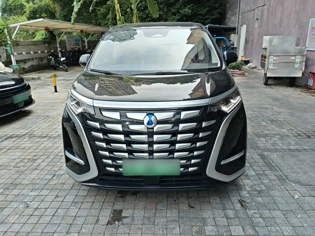 Denza Denza D9 — миниатюра 3