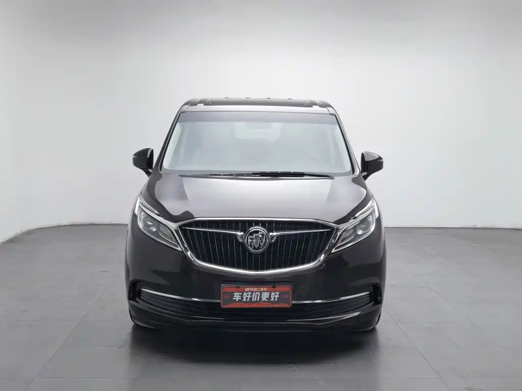 Buick GL8 — миниатюра 3