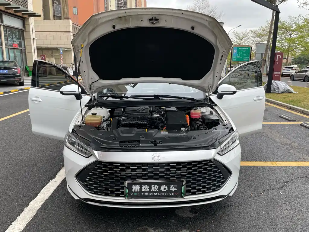 BYD Qin PLUS — миниатюра 18