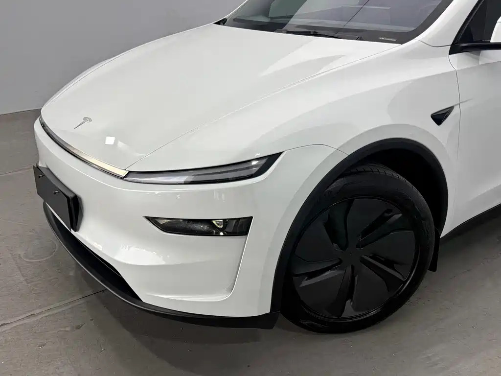Tesla Model Y — миниатюра 11