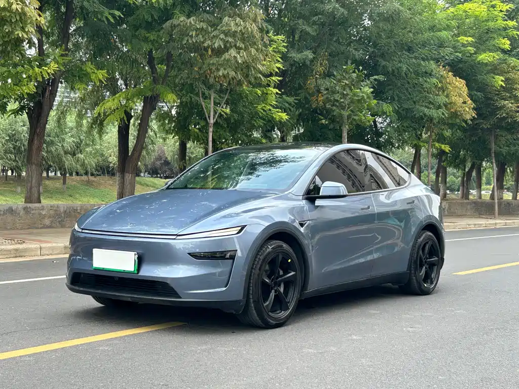 Tesla Model Y — фотографии объявления, Фото 2