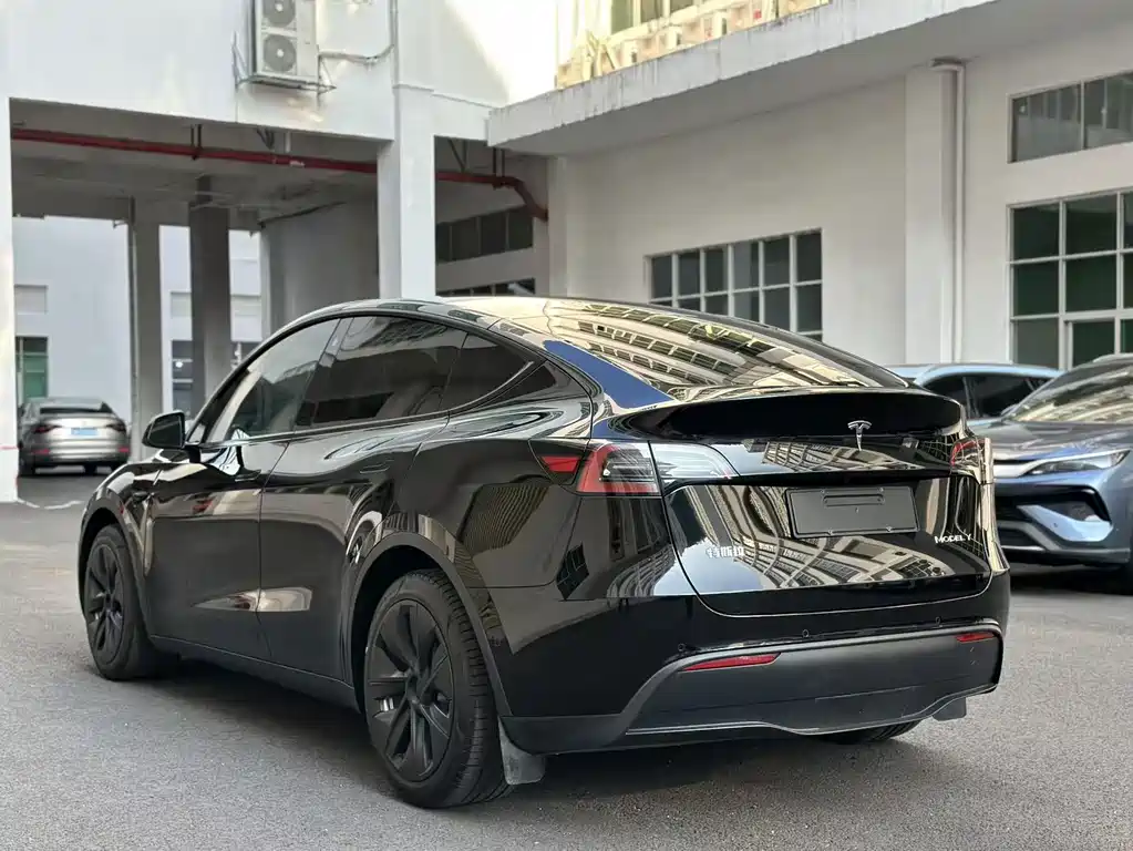 Tesla Model Y — миниатюра 6