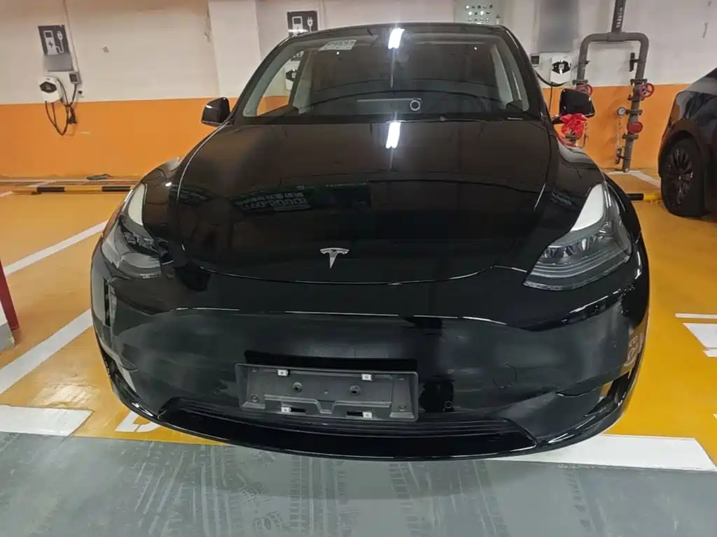 Tesla Model Y — миниатюра 3