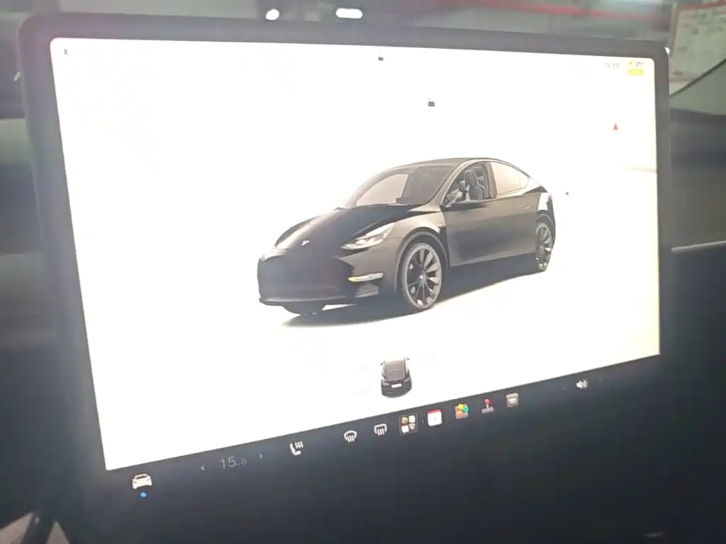 Tesla Model Y — миниатюра 9