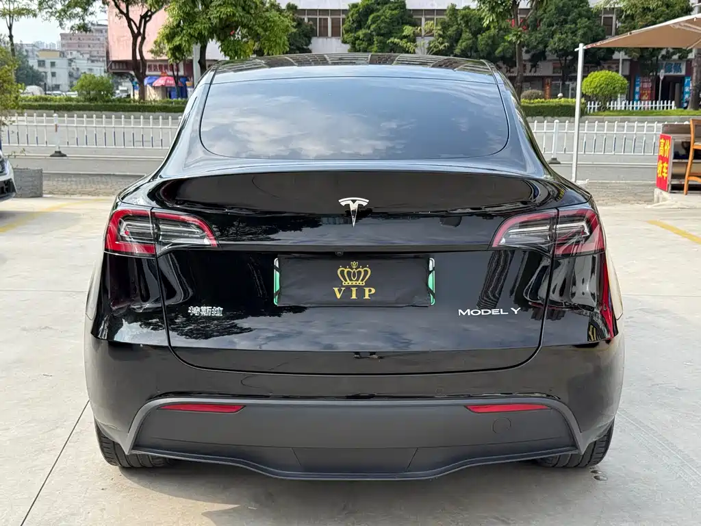 Tesla Model Y — миниатюра 5