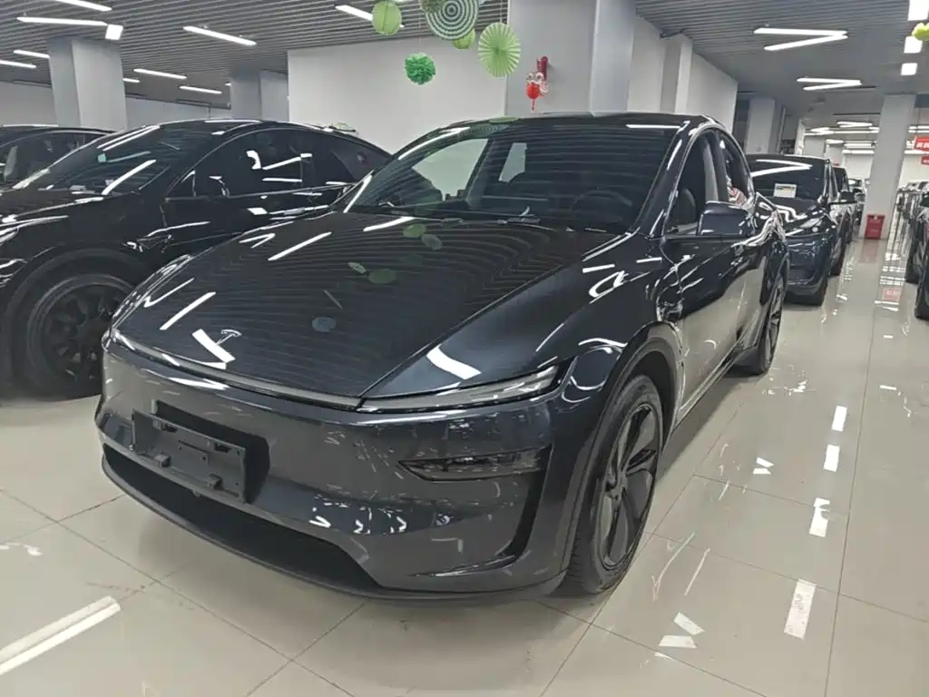 Tesla Model Y — миниатюра 2