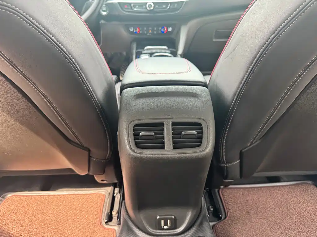 Buick Regal — миниатюра 19