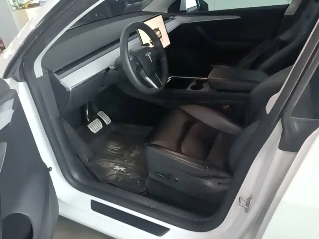 Tesla Model Y — миниатюра 15