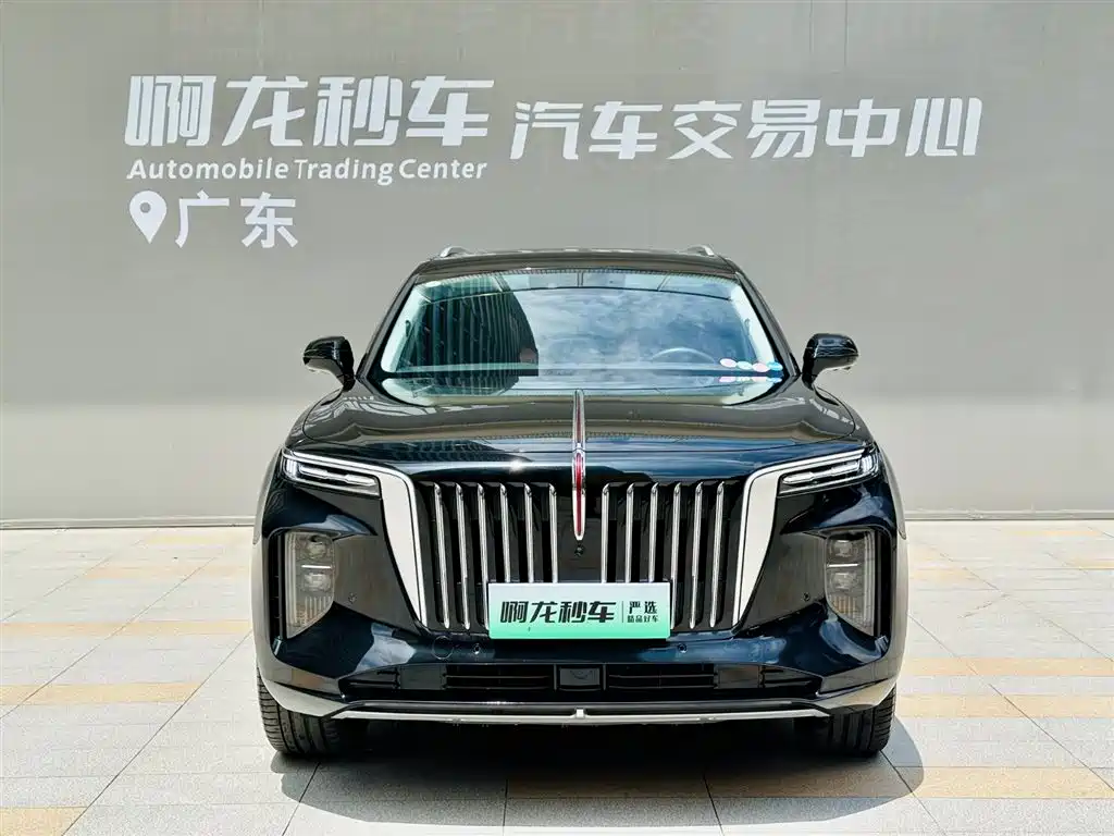Hongqi E-HS9 2022 690km мест