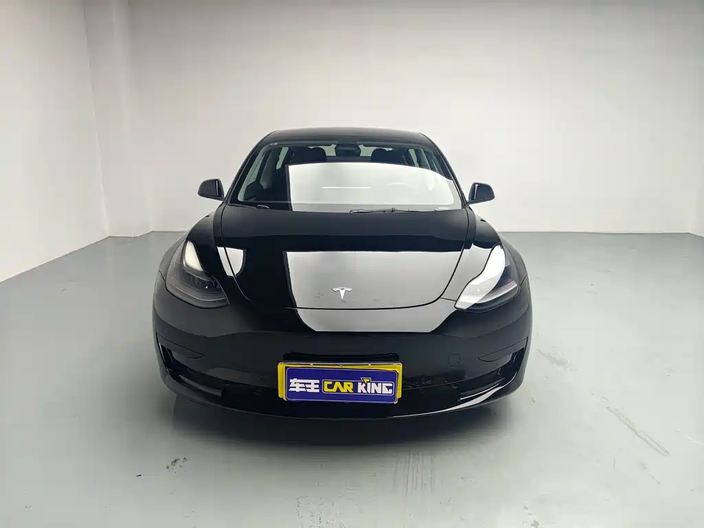 Tesla Model 3 — миниатюра 2