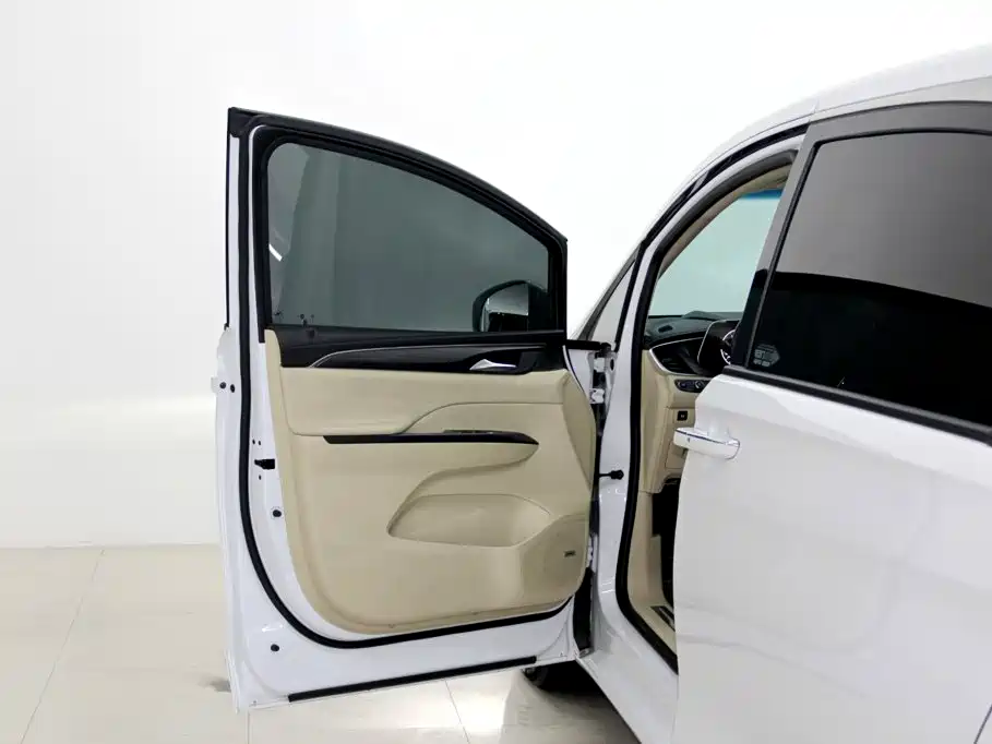 Buick GL8 — миниатюра 5