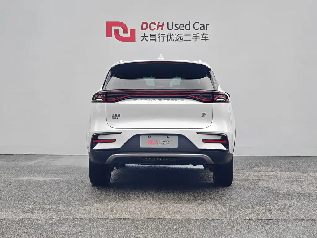 BYD Tang New Energy — миниатюра 4