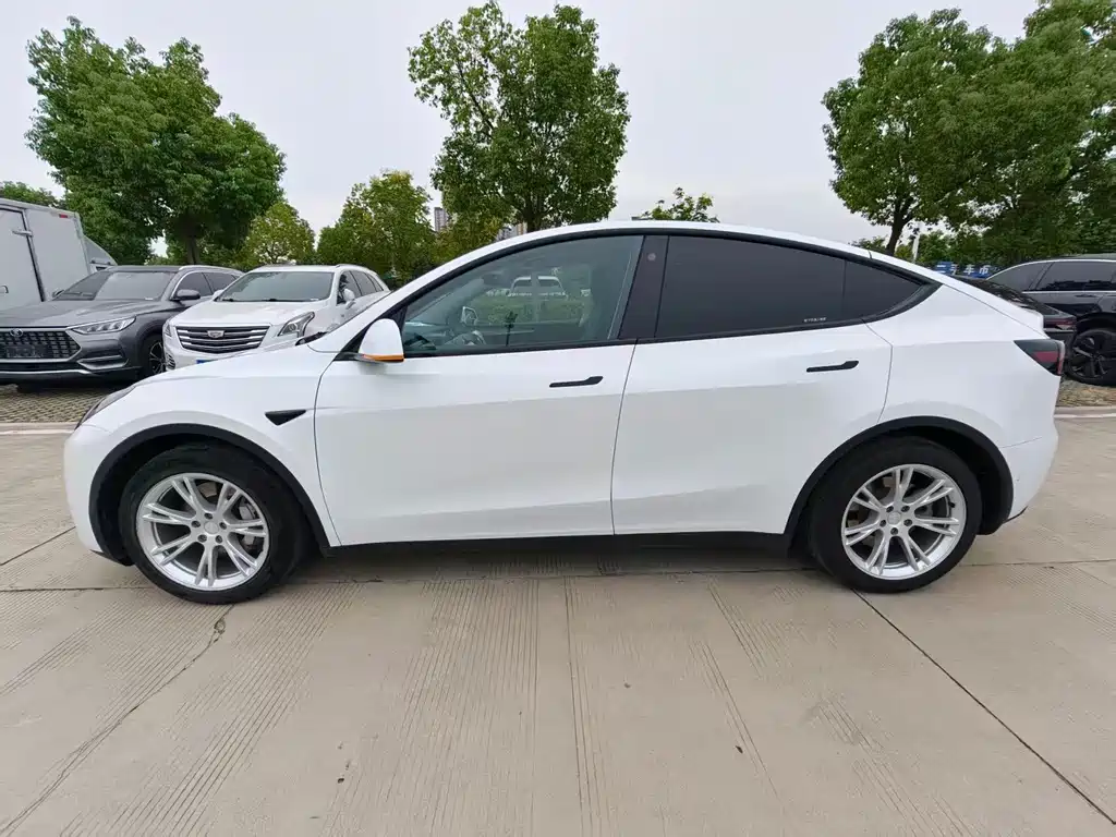 Tesla Model Y — миниатюра 4