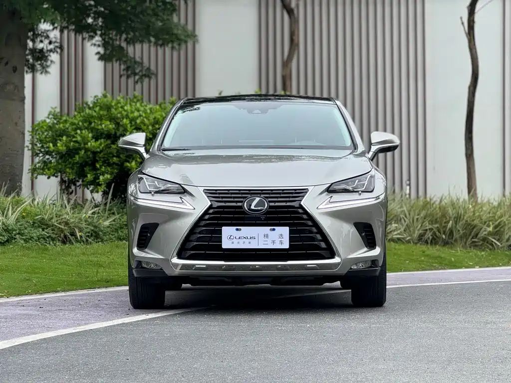 Lexus NX — миниатюра 2