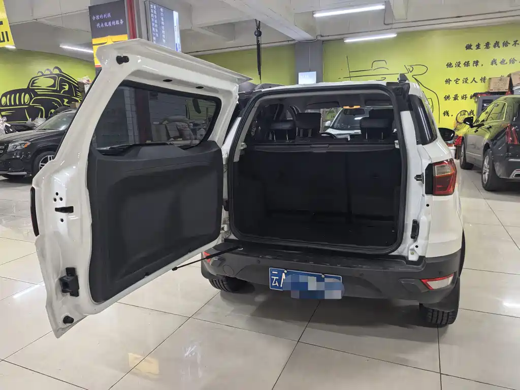 Ford Ecosport — миниатюра 7