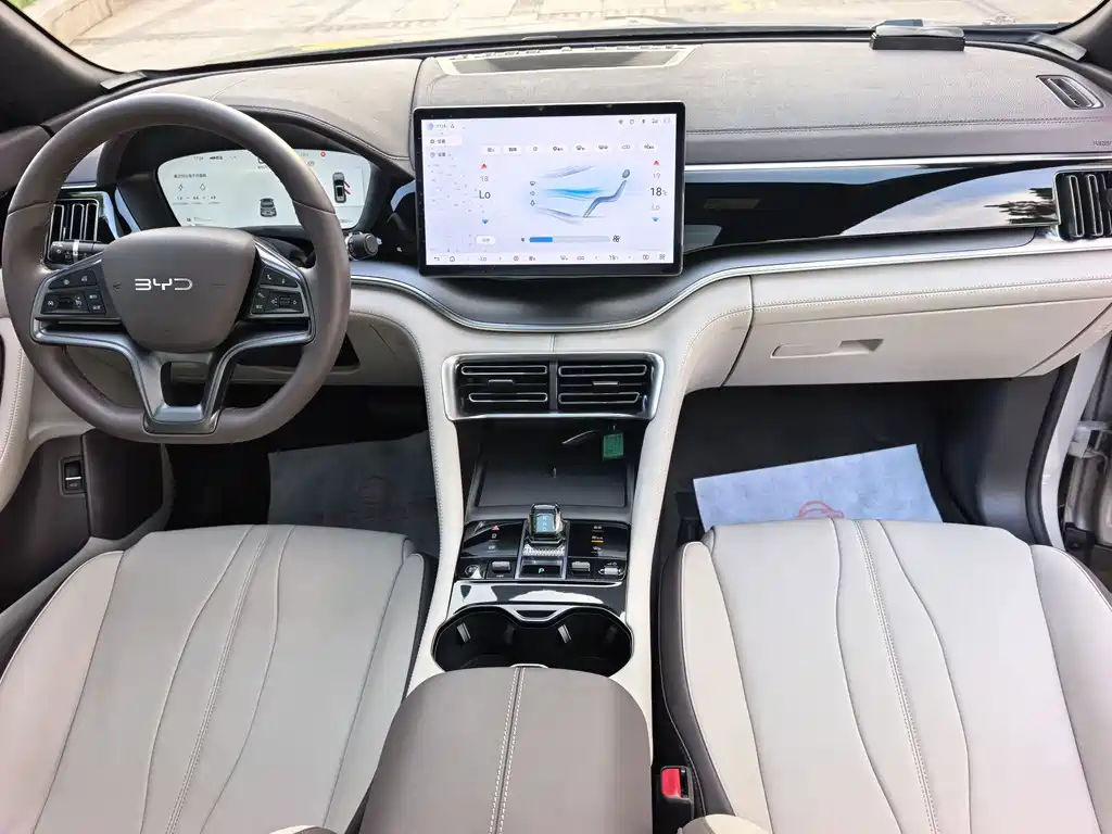 BYD PLUS New Energy — миниатюра 11