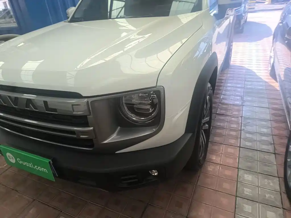 Haval Big Dog — миниатюра 24
