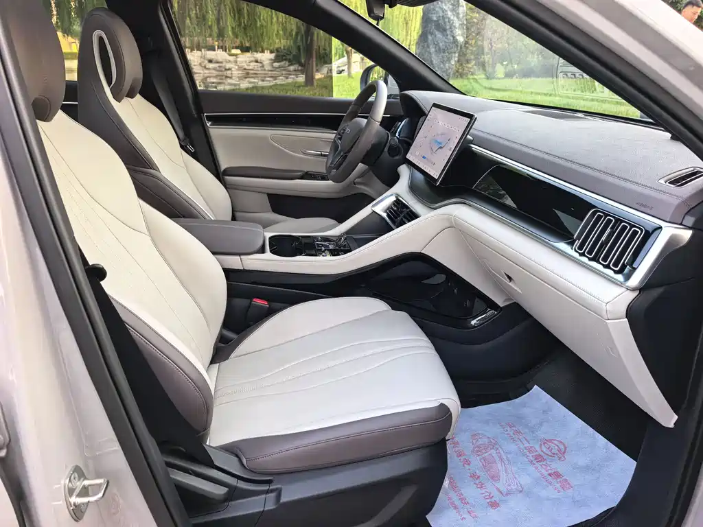BYD PLUS New Energy — миниатюра 10