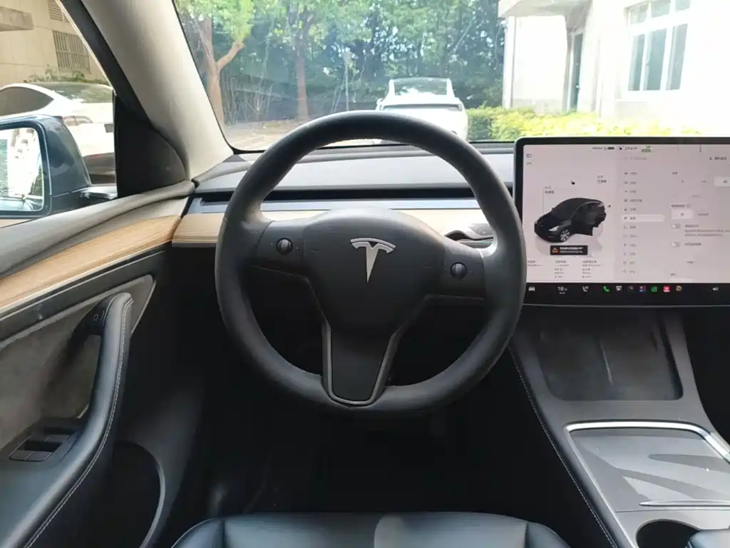 Tesla Model Y — миниатюра 11