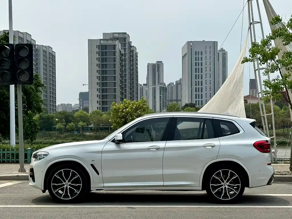 BMW X3 2020 xDrive30i Lead M Sport