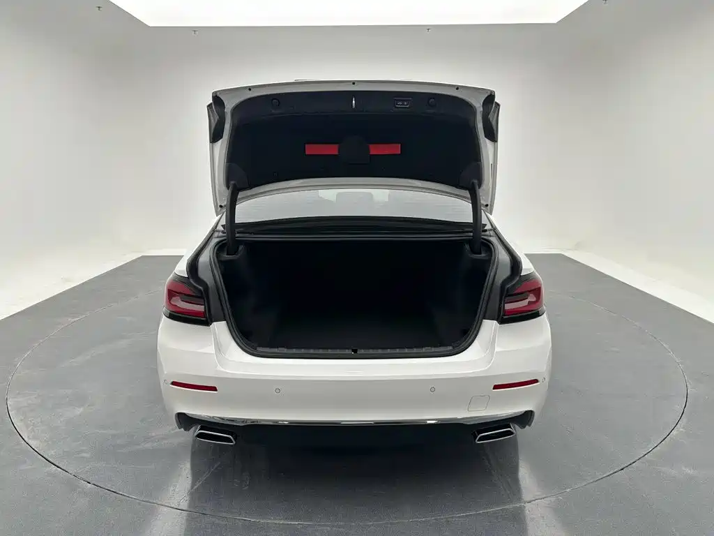 BMW 5 Series — миниатюра 22