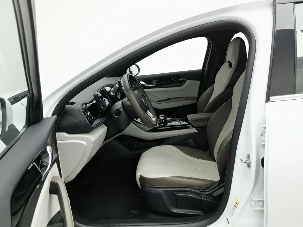 BYD Qin PLUS — миниатюра 10