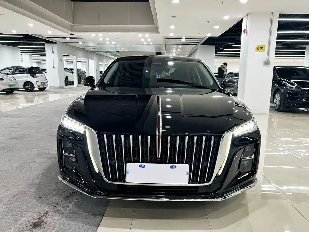 Hongqi Hongqi H5 — миниатюра 2