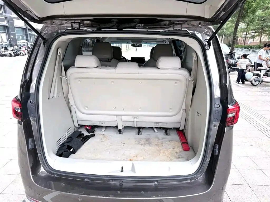 Buick GL8 — миниатюра 10