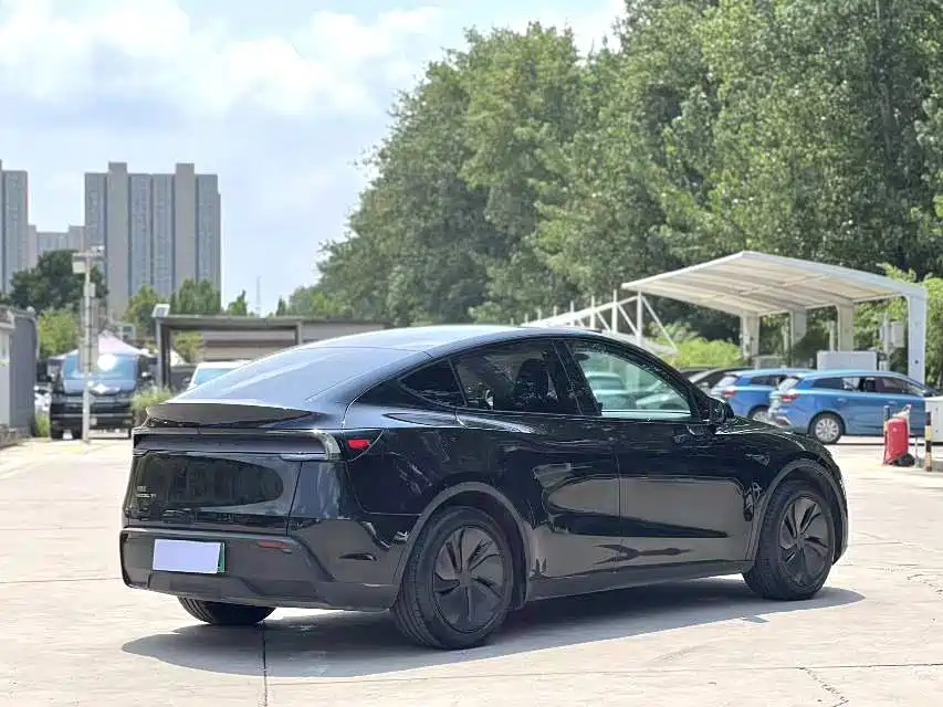 Tesla Model Y — миниатюра 7