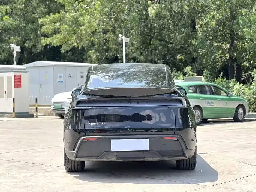 Tesla Model Y — миниатюра 8
