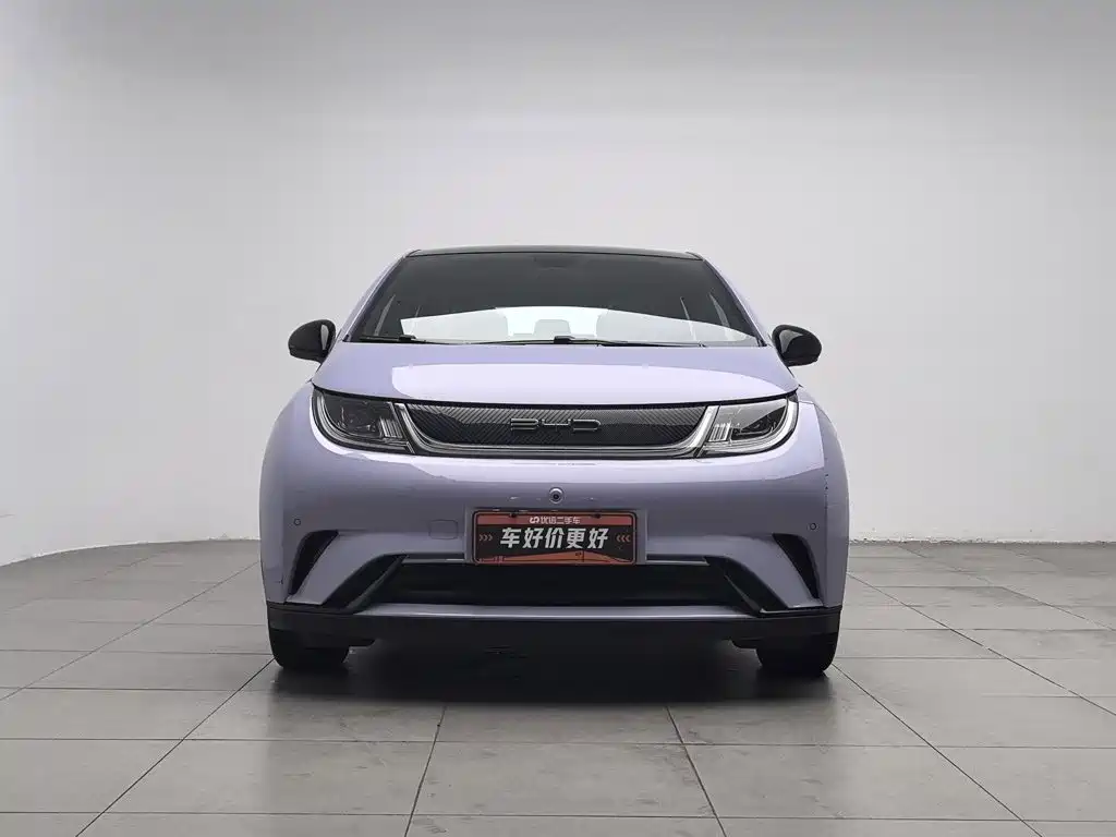 BYD Dolphin — миниатюра 3