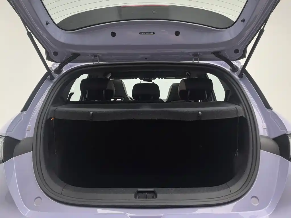 BYD Dolphin — миниатюра 16