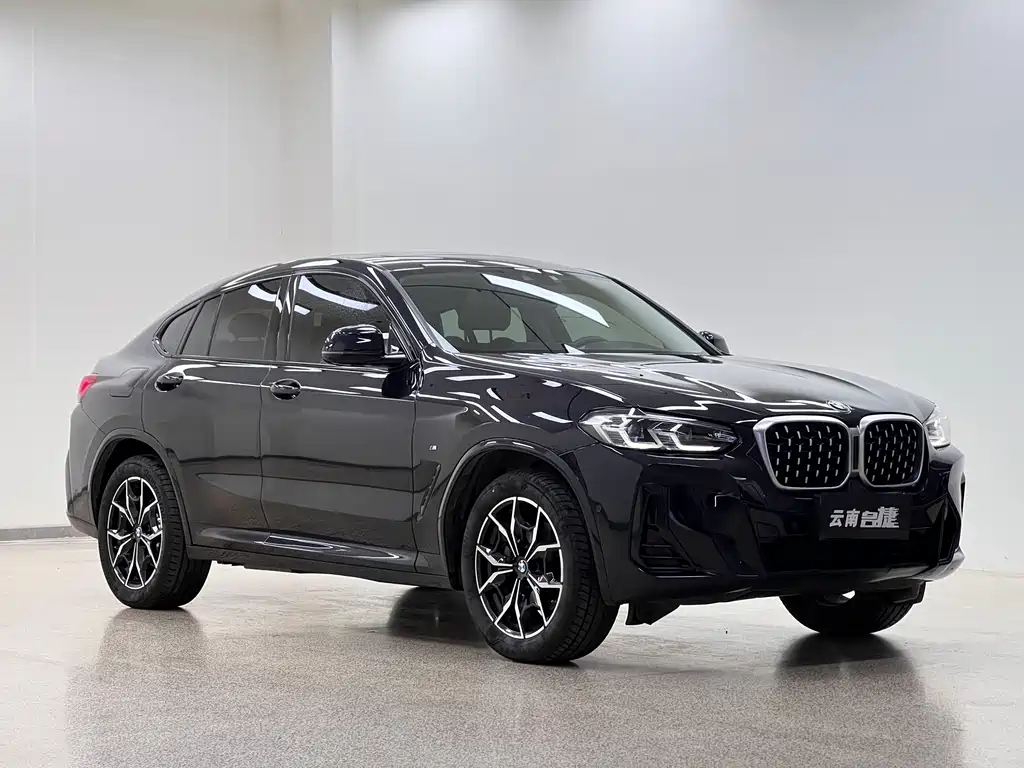BMW X4 — миниатюра 3
