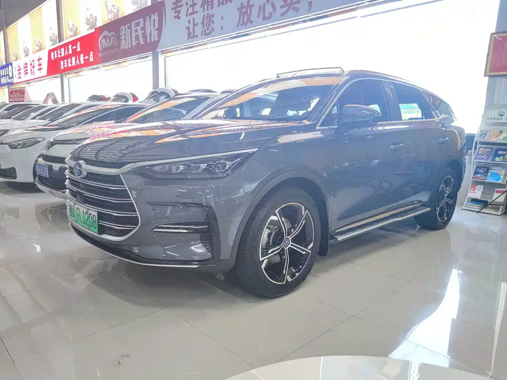 BYD Tang New Energy — миниатюра 2