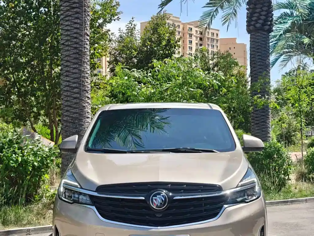 Buick GL8 — миниатюра 2