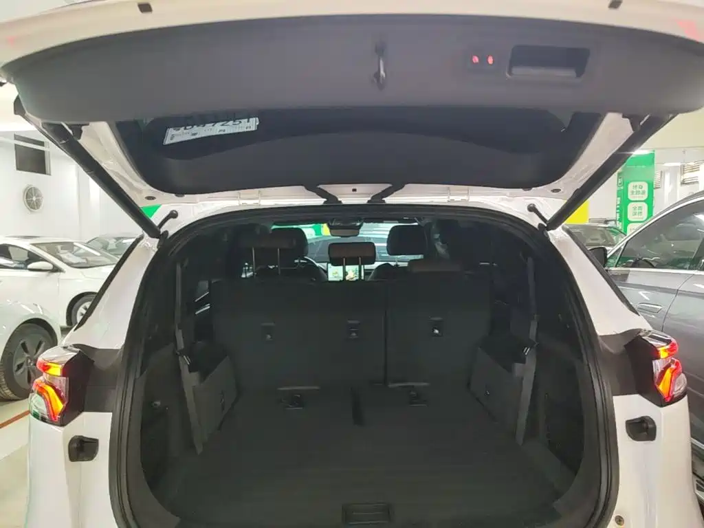 BYD Tang New Energy — миниатюра 19