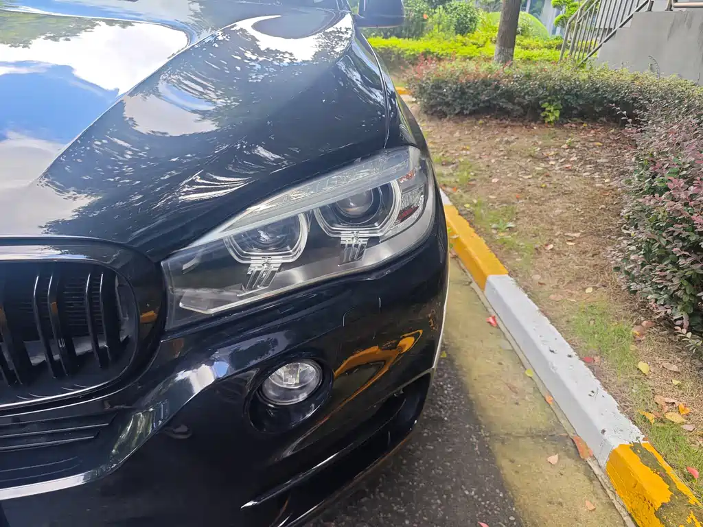BMW X5 (Import) — миниатюра 12