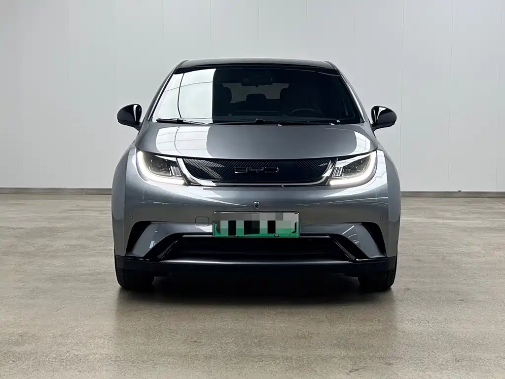 BYD Dolphin — миниатюра 2