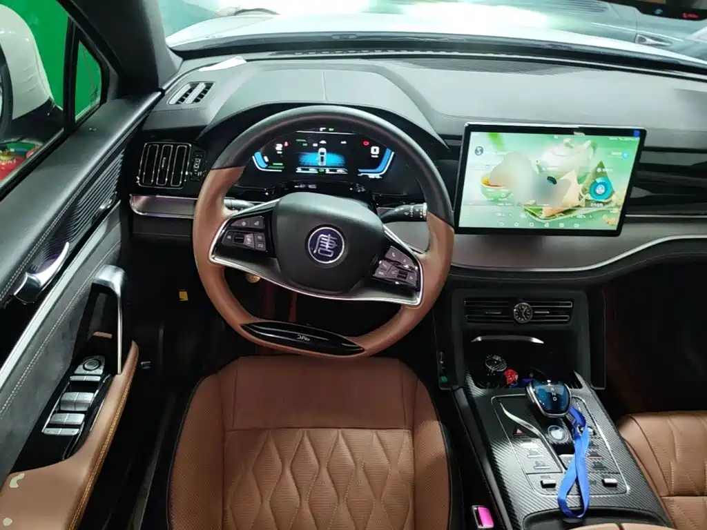 BYD Tang New Energy — миниатюра 11