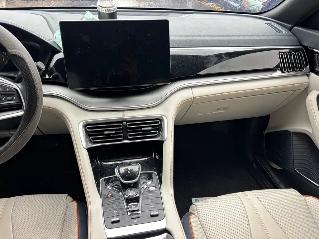 BYD PLUS New Energy — миниатюра 8