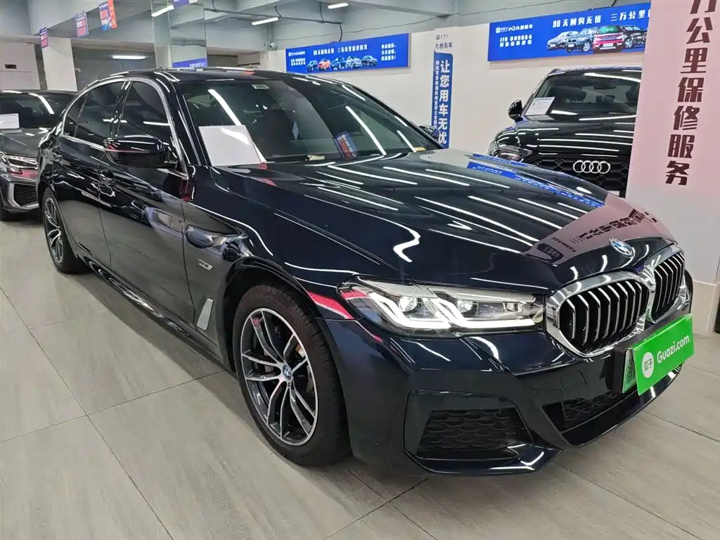 BMW  5 SERIES NEW ENERGY