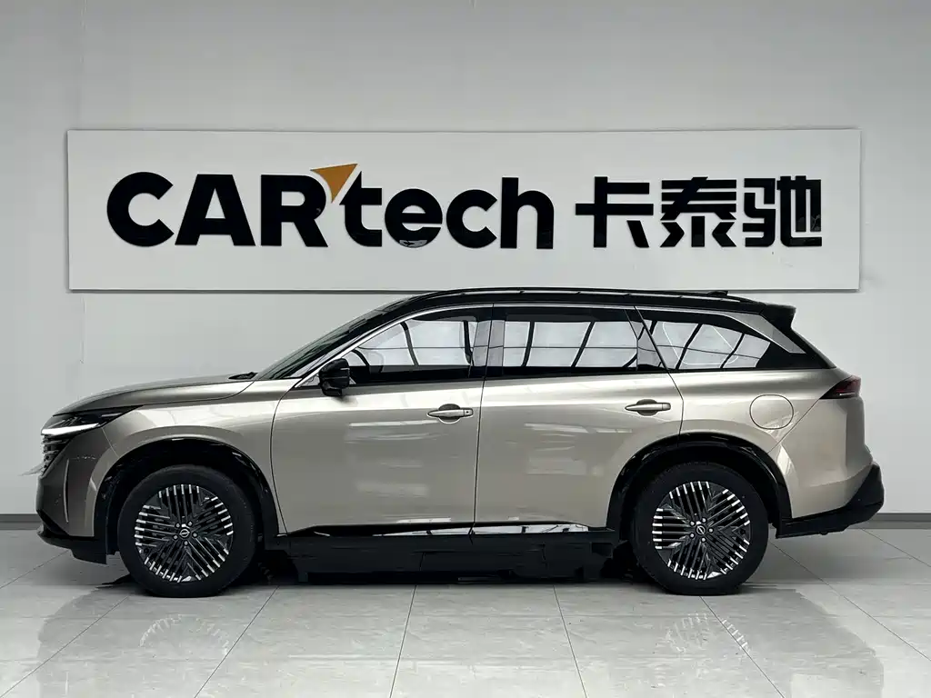 Nissan Teramont — миниатюра 2